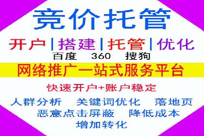 百度平台推广策略及成功案例解析